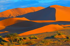 fotografie/landscapes/Namibia, morning_dunes_t.jpg
